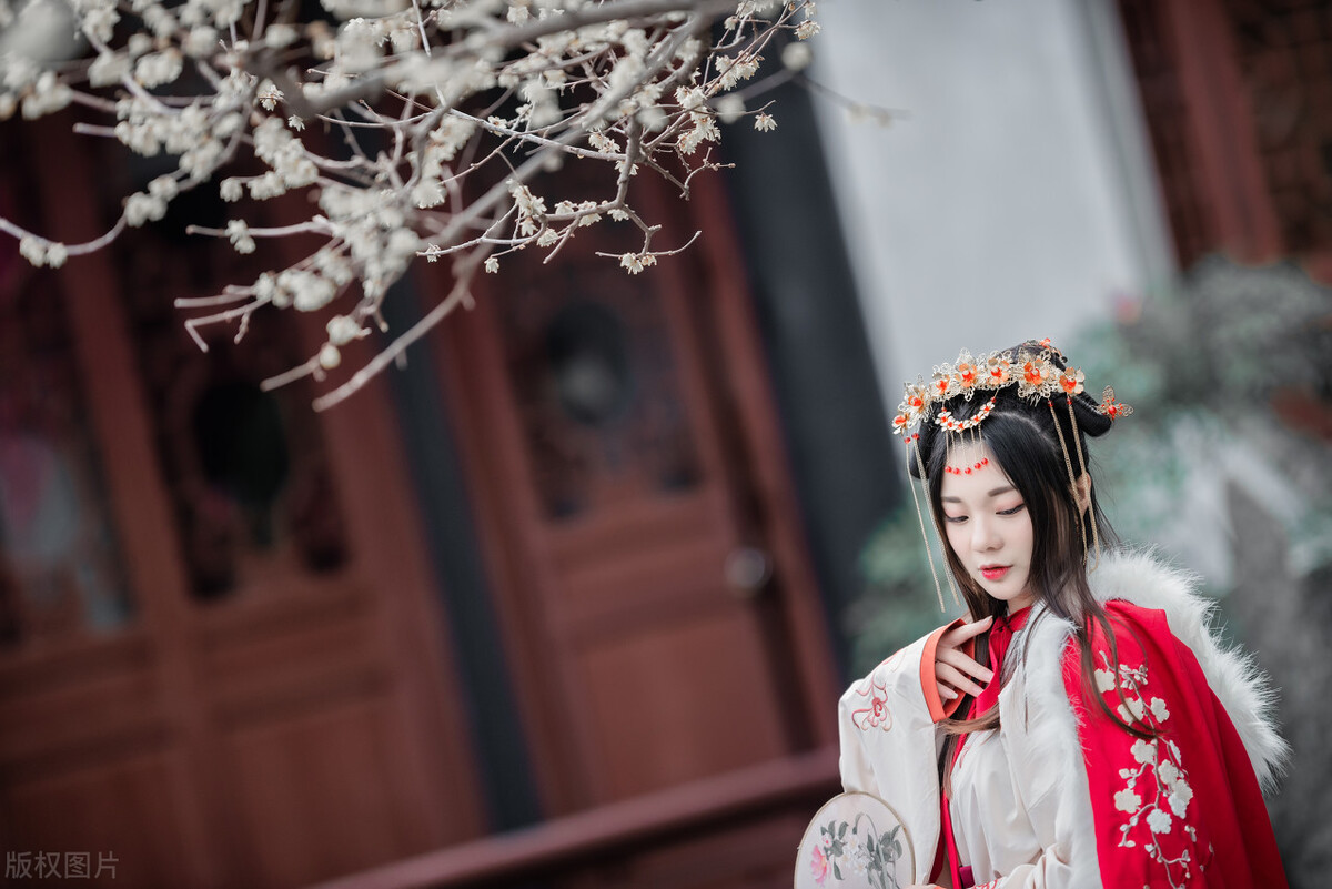 前朝公主嫁给将军将军却独宠小妾,被迫和将军结婚的公主小说