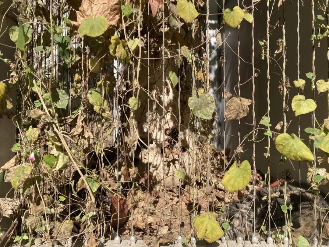 浣犺兘鐚滃嚭璋佺畻鎴戣緭,浣犵寽寰楀嚭鏉ョ畻鎴戣緭