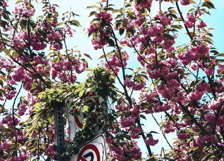 关于三月的现代小诗,关于三月的抒情诗