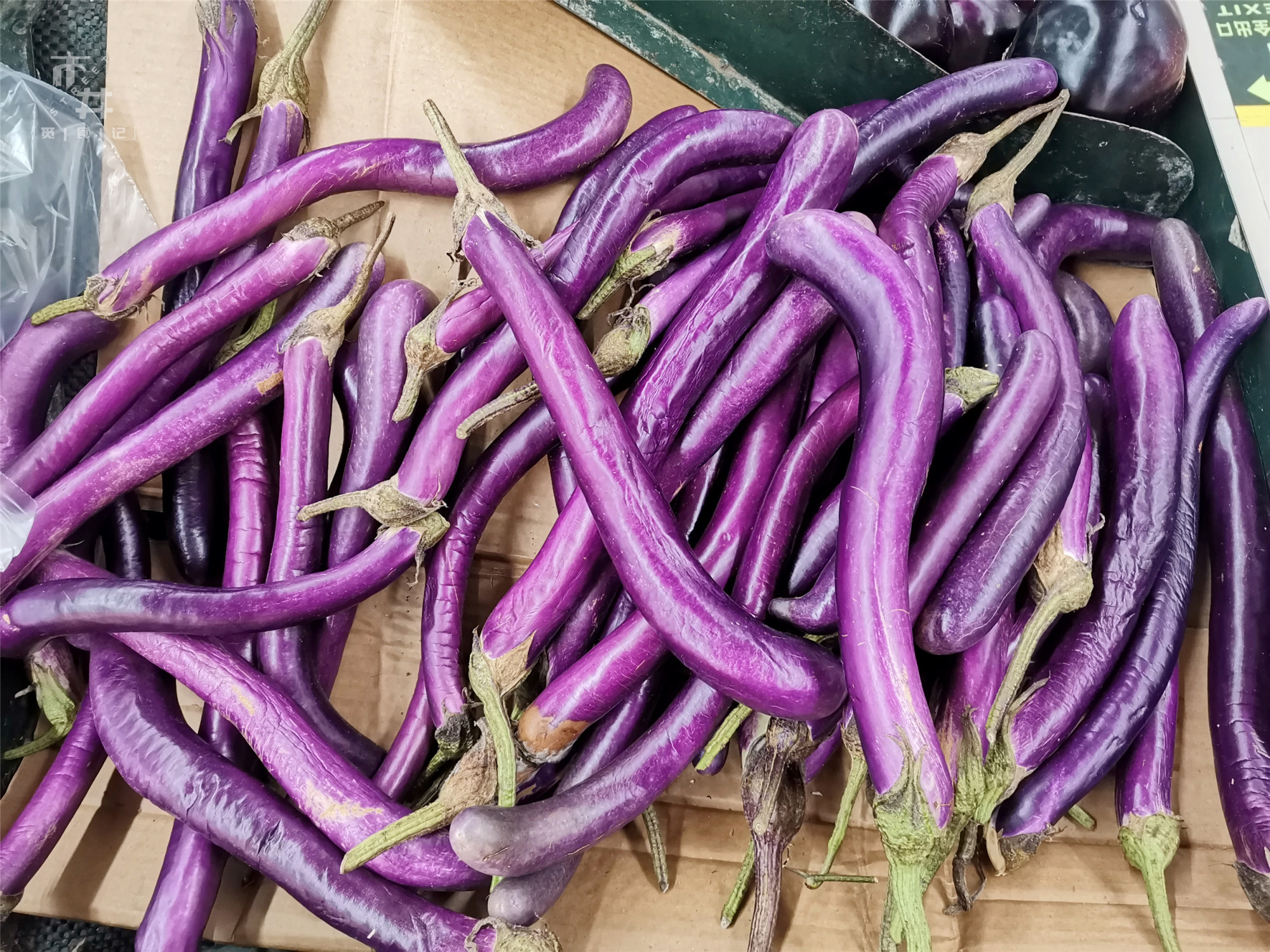 圆茄子和长茄子哪个便宜 (选圆茄子还是长茄子)