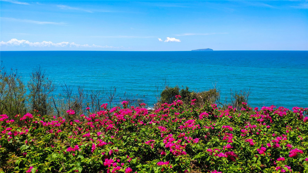 广西北海涠洲岛的火山岛介绍,涠洲岛是中国最年轻的火山岛吗