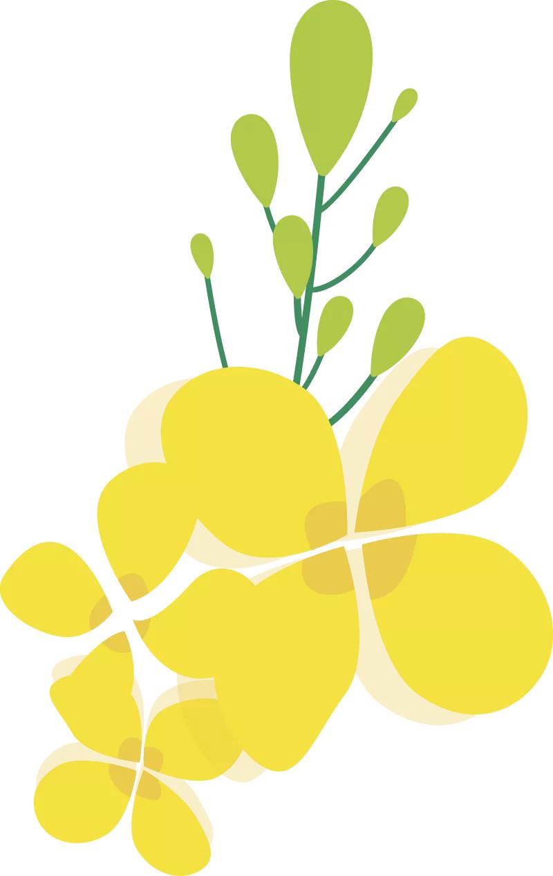 瘦桃桃「奥利司他」:时令夏至,减脂正当时