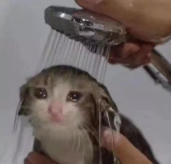 6款夏季必备粉底款款好用不踩雷,夏日持久粉底干油皮推荐