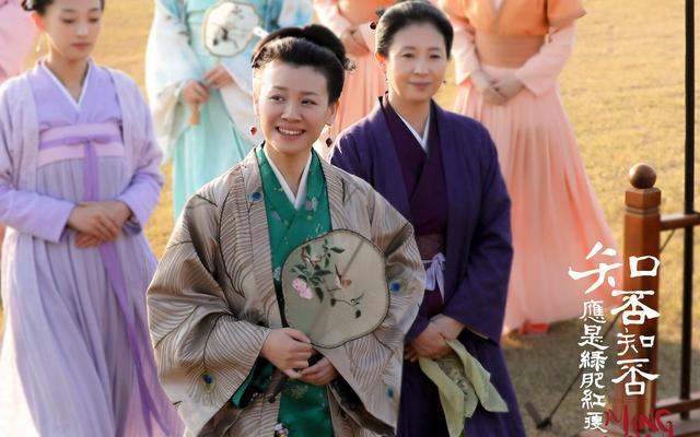 知否盛纮怎么养活一大家子,知否盛纮王氏