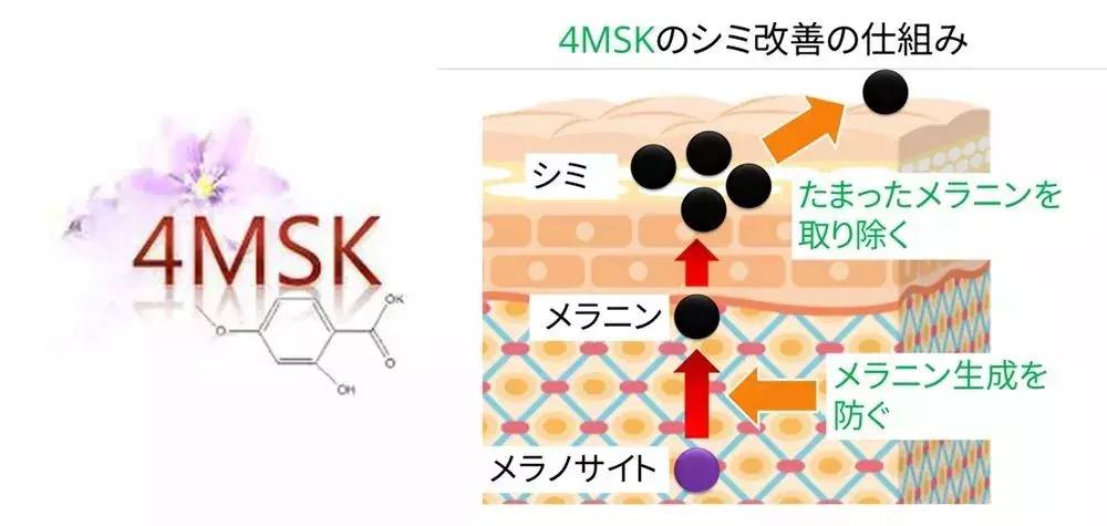 公认最好用的10大眼膜正品,全球公认的10大眼膜