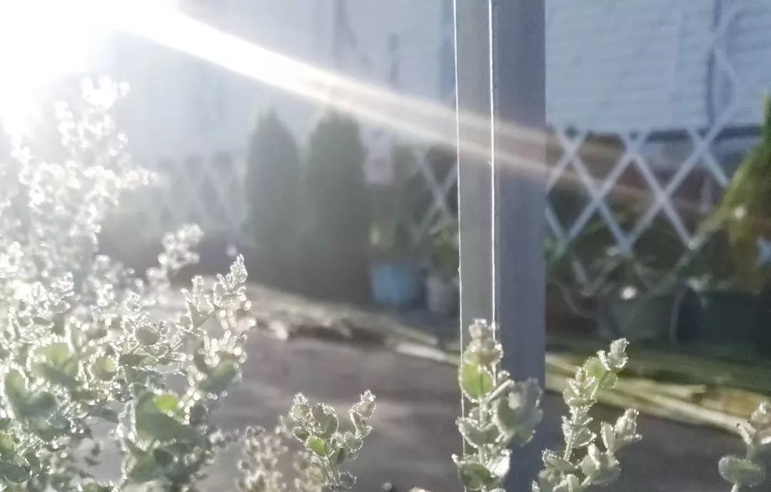 肿瘤与糖尿病的区别,糖尿病与癌症之间回顾性分析