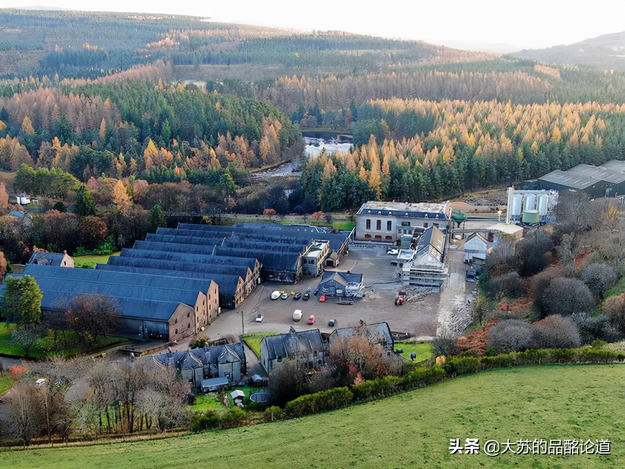 威士忌的投资收藏怎么玩,威士忌的收藏与投资如何选