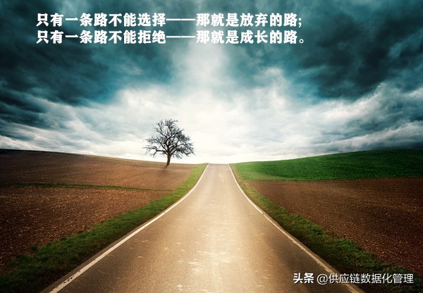 发展之路生存之道,发展之路也必然坎坷