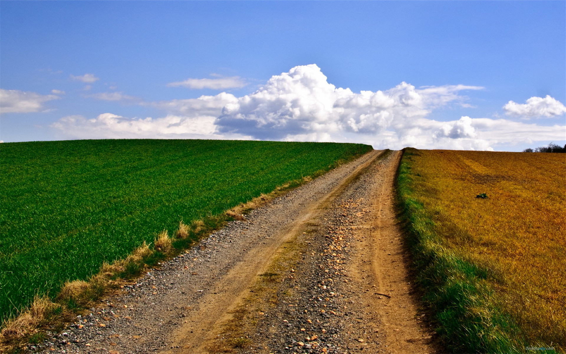 心理学上有的人为什么那么暴躁,心理学发脾气的人才最值得深交