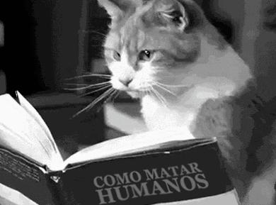 林允为闺蜜辟谣反被群嘲,林允被人疯狂吐槽