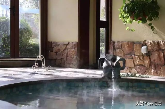 河南平顶山鲁山温泉排行榜,河南最好的温泉排名榜