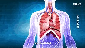 心绞痛只是胸口不舒服是发作吗,心绞痛的疼痛位于后肩胸骨后吗