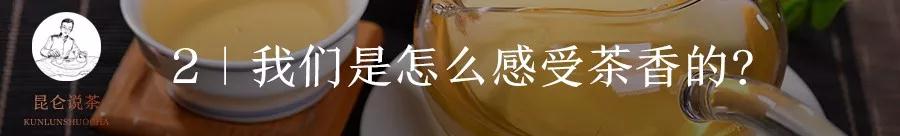 什么样的普洱茶口感算是好茶,普洱茶文化与品茶知识