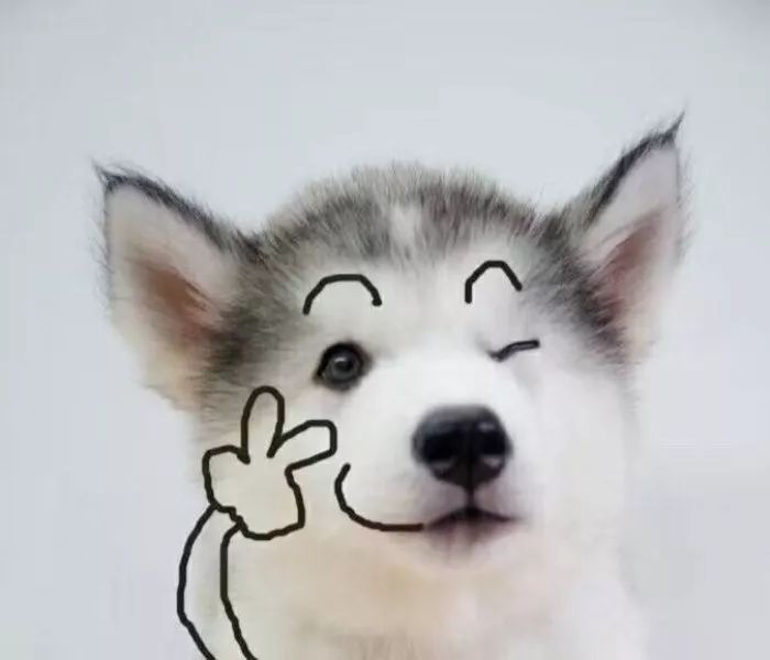 海淘运费和手续费,海淘国际运费大概多少钱