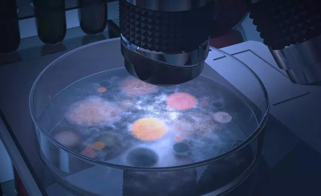 干扰素为什么对病毒有效,干扰素为什么是一把双刃剑