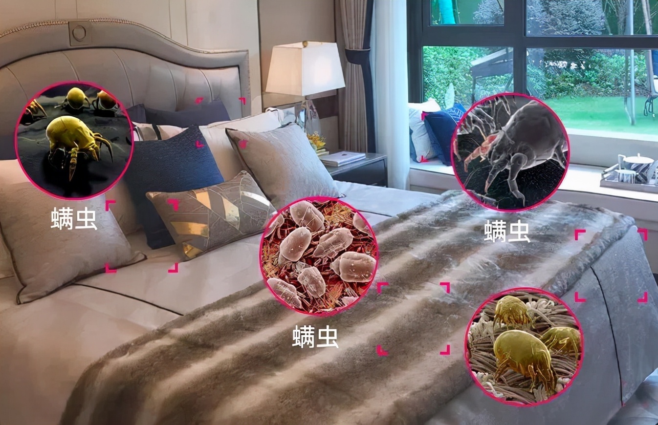 被子放久了潮湿怎么办,被子没有发霉怎么去除异味