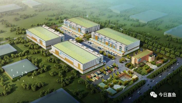 华中物流中心嘉鱼建设,华中嘉鱼最新规划
