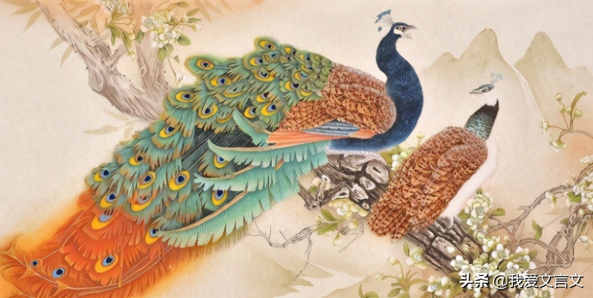 古代文言文大全摘抄及翻译,寓言故事南人捕孔雀