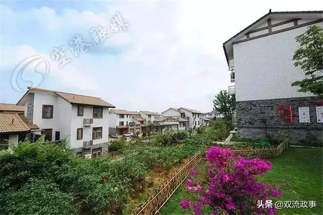 成都双流怎样,你怎么那么绿是什么梗