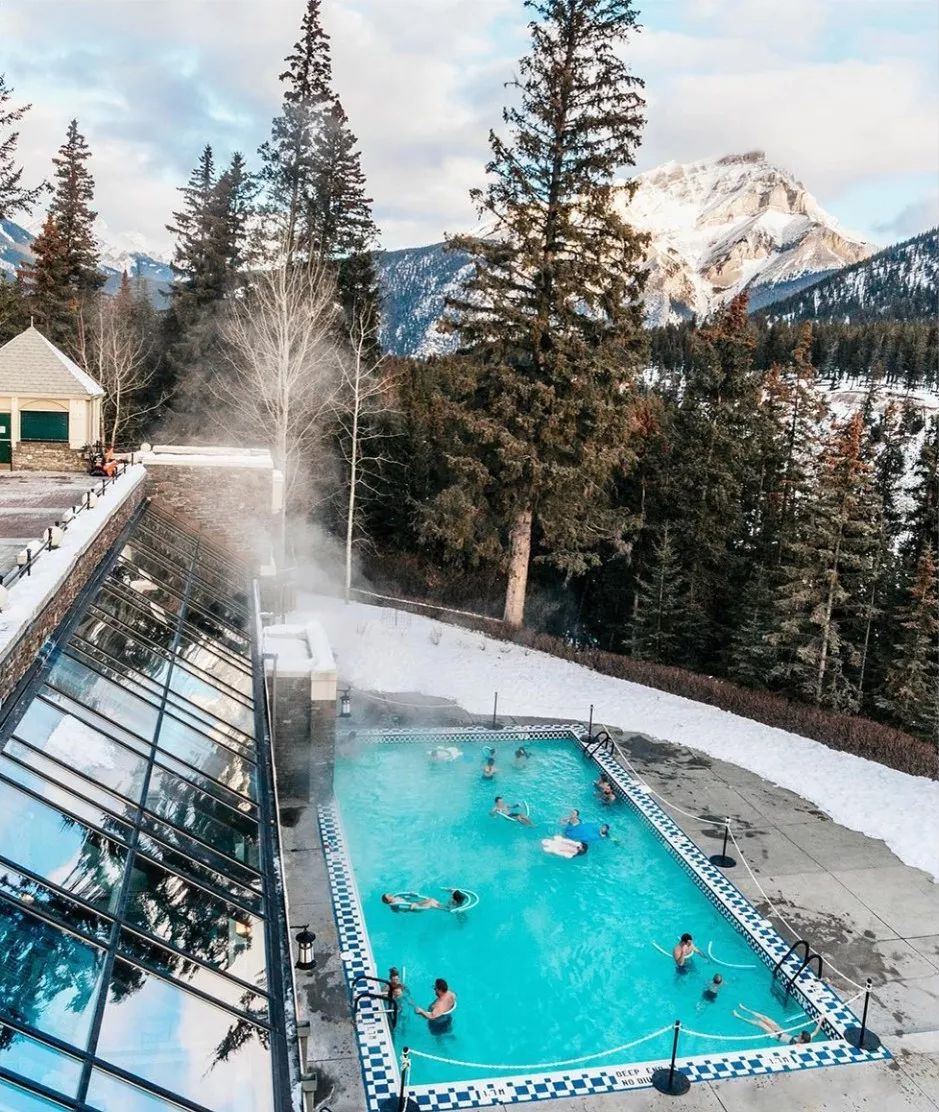 冬季世界冠军,世界冠军的辛酸