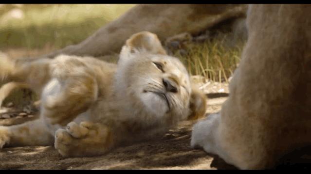 《狮子王》成年度面瘫巨制，但真有那么差吗？