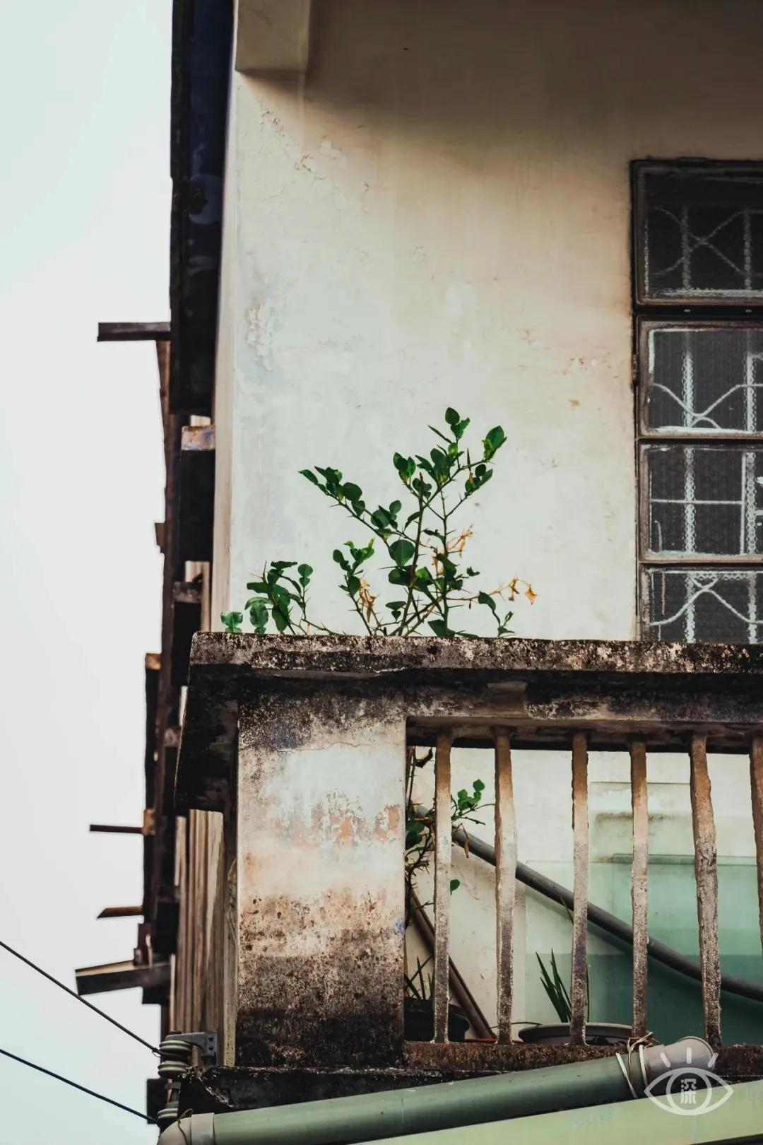 深圳古城风景图片,深圳大鹏古城晚上好玩吗