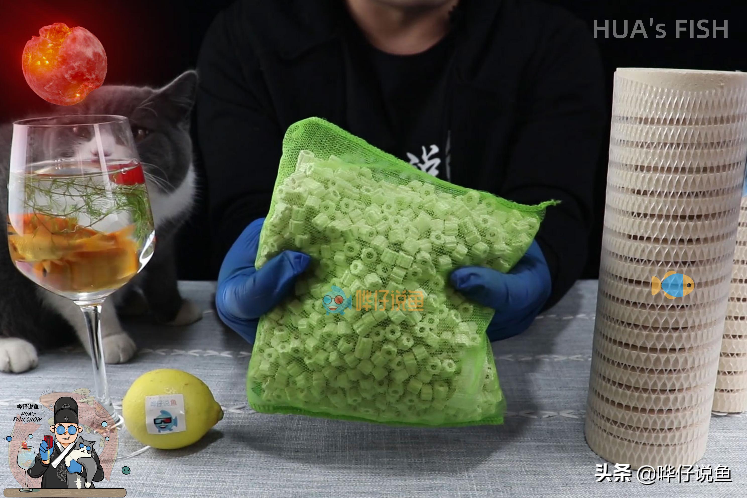 怎样选鱼缸滤材,新手该如何选择鱼缸滤材