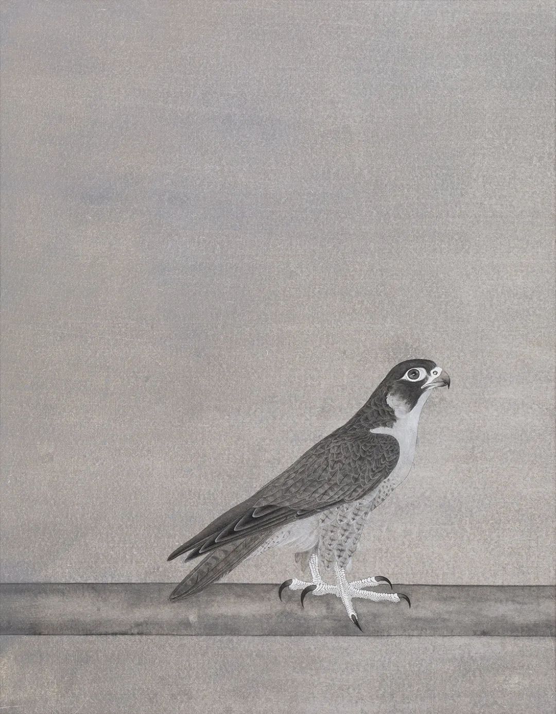 他画的鹰，严谨工致，萧疏威严