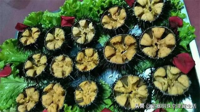 大钦岛旅游渔家乐,夏天最美的海边风景