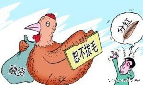 上市公司会为了分红做假账吗,上市公司分红是否参与