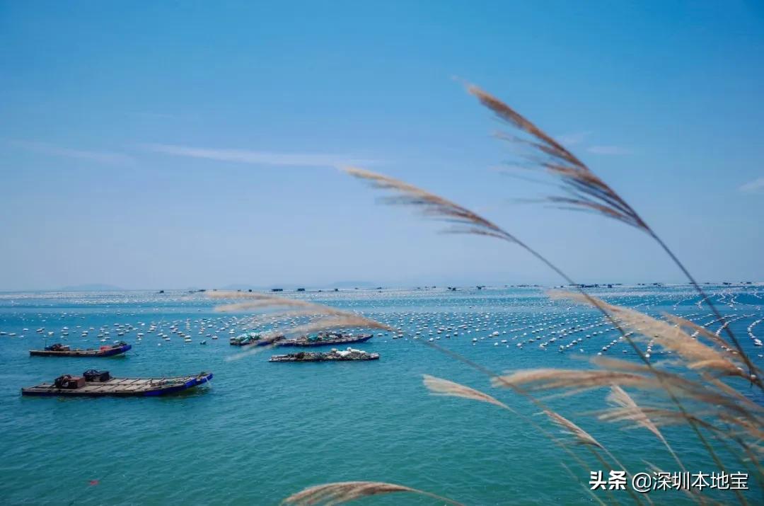 深圳最美海岛旅游攻略,深圳周边海岛旅行推荐