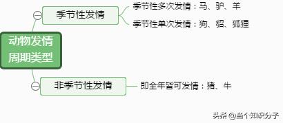 关于猫咪的冷知识,你不知道的猫咪冷知识
