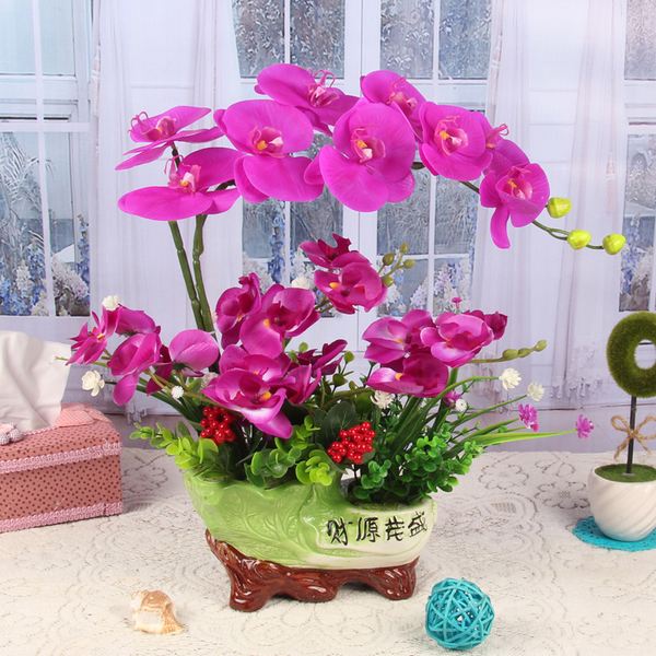 新手养蝴蝶兰的正确技巧,新手养蝴蝶兰的正确方法