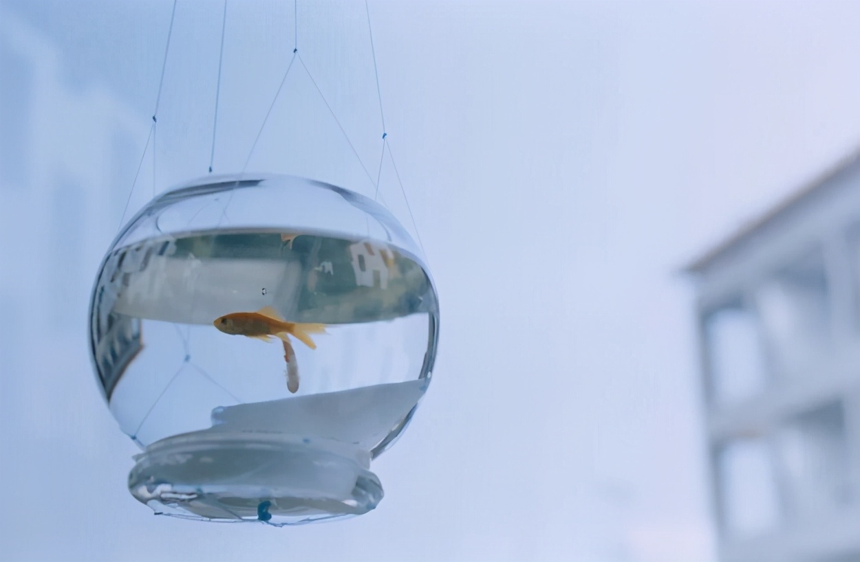 公公看上儿媳陪嫁,四处炫富,亲家提前做财产公证,婚前双方反目