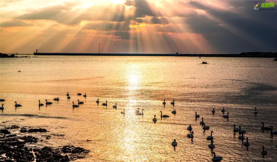 过年了你的爱车清洗了吗,新春要把你的爱车打扮美美的