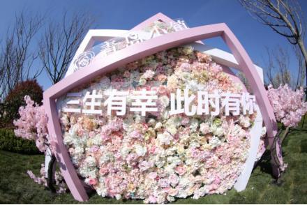 青岛樱花小镇,青岛网红小镇