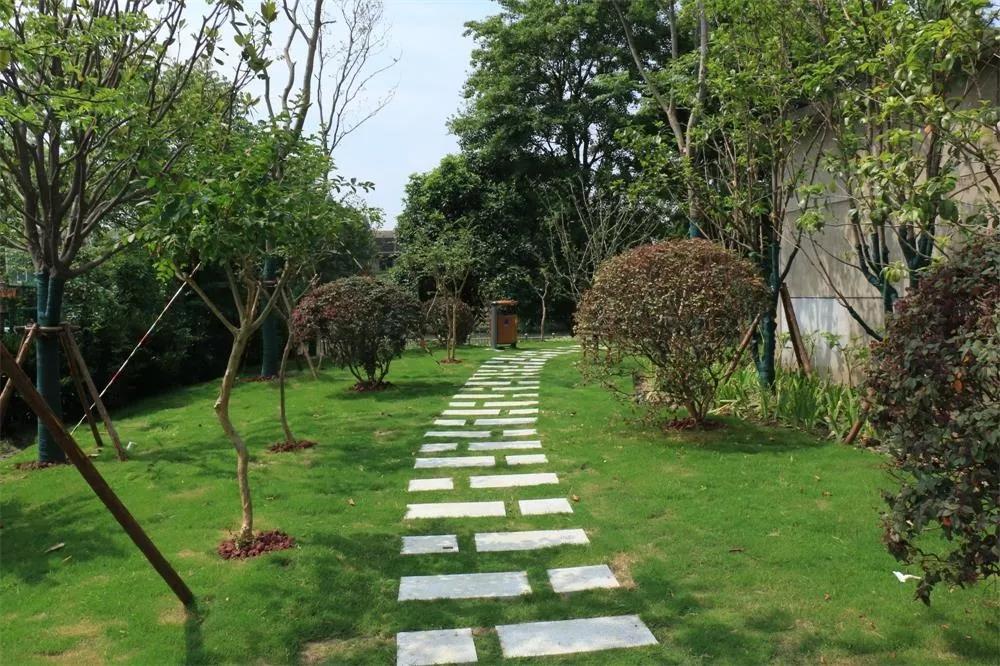 松江国际生态商务区地标,松江国际生态公园