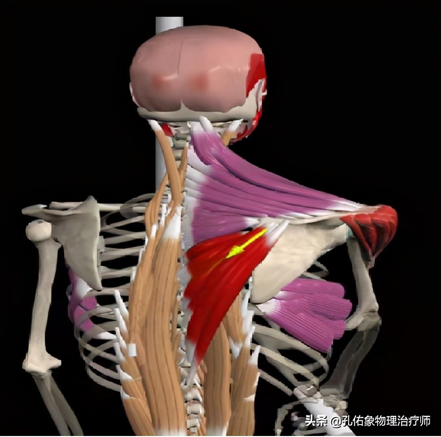 肩膀中风疼痛快速缓解方法,中风后左肩膀痛怎么办