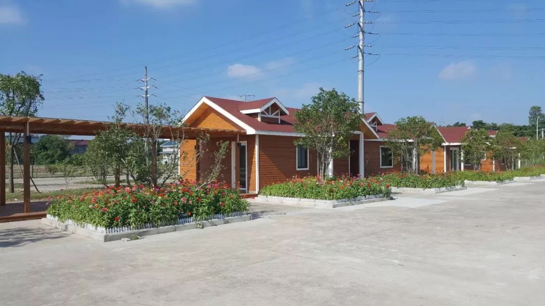 露营节即将启幕,陵城区首届星空露营节