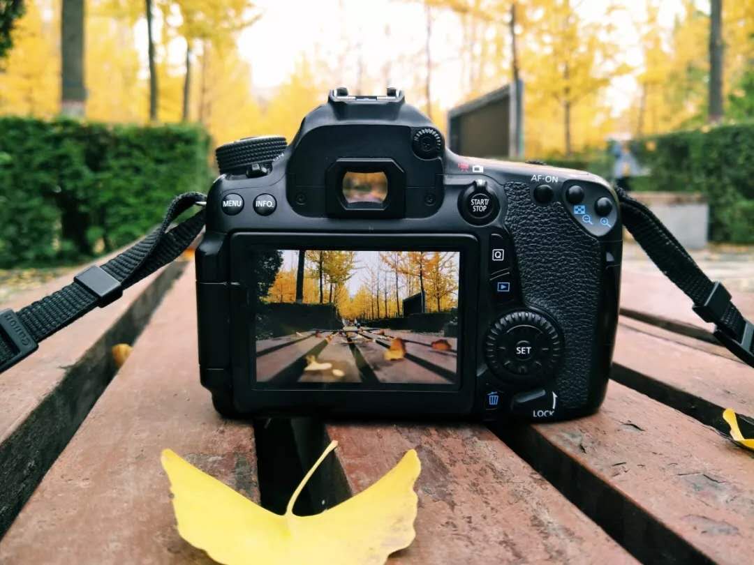 陕西女神学霸:学习好,颜值高,将赴211名校继续深造