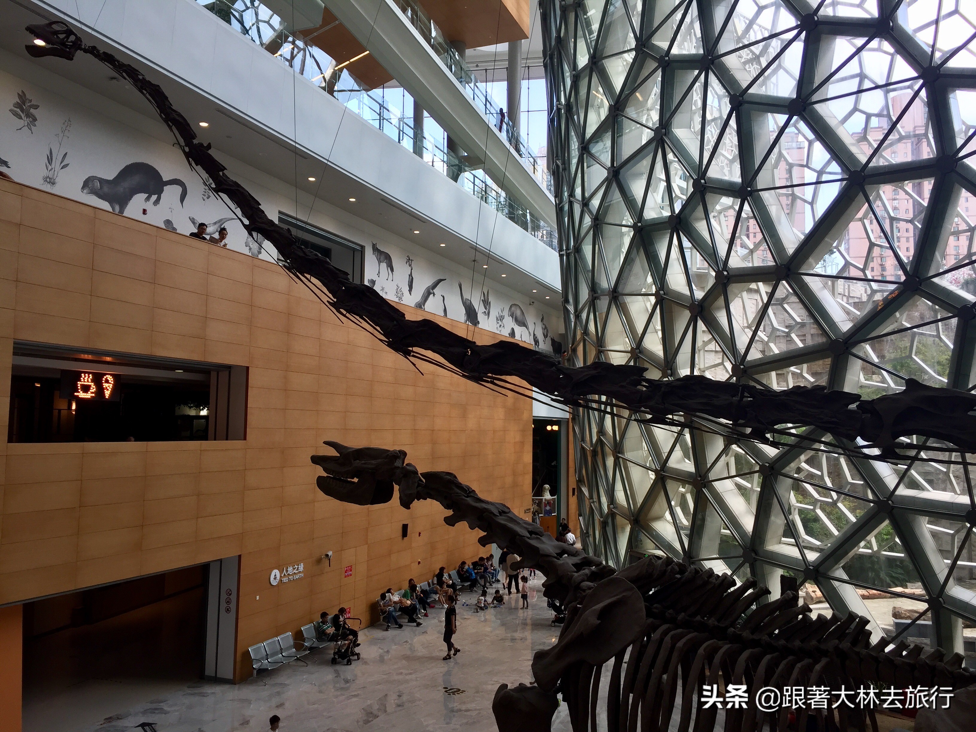 上海伴手礼必买清单,上海游玩适合带什么伴手礼