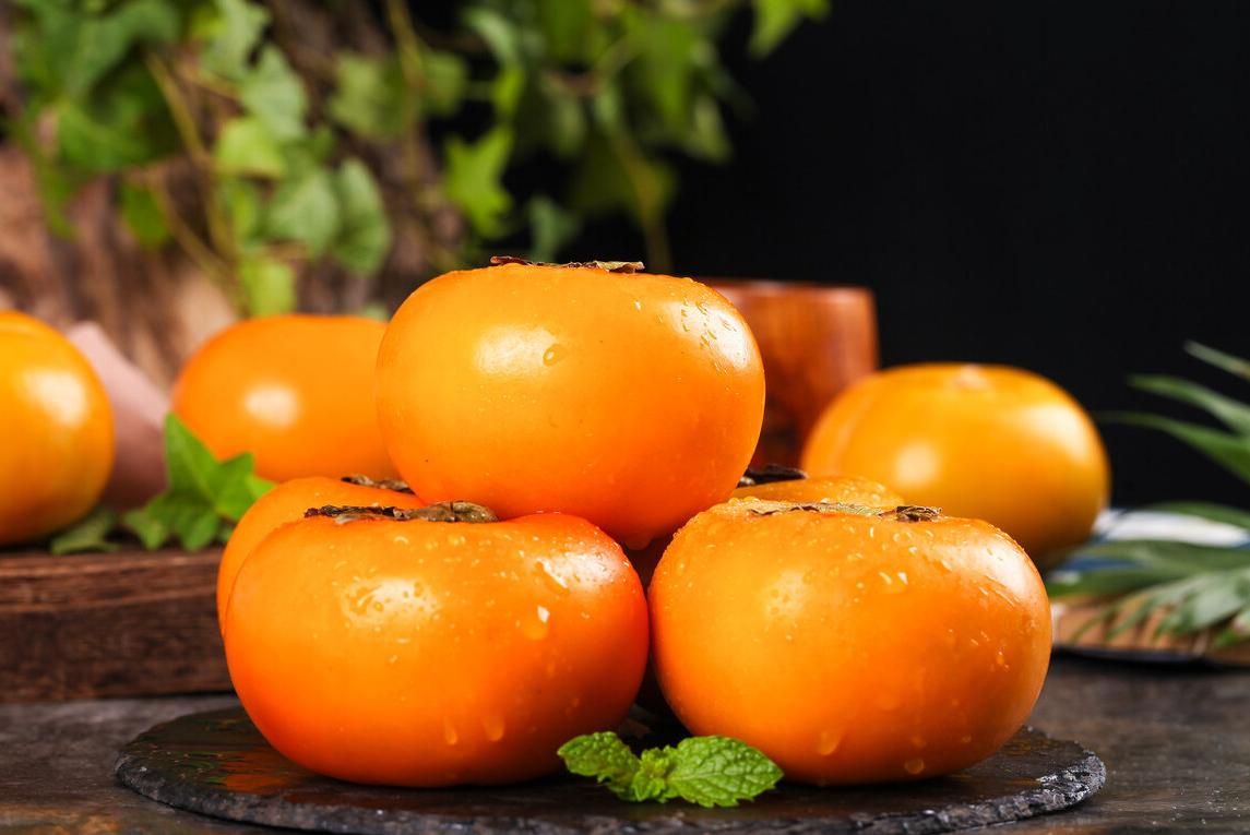 别再给猫咪喂食“这些食物”了,一不小心,命都没了