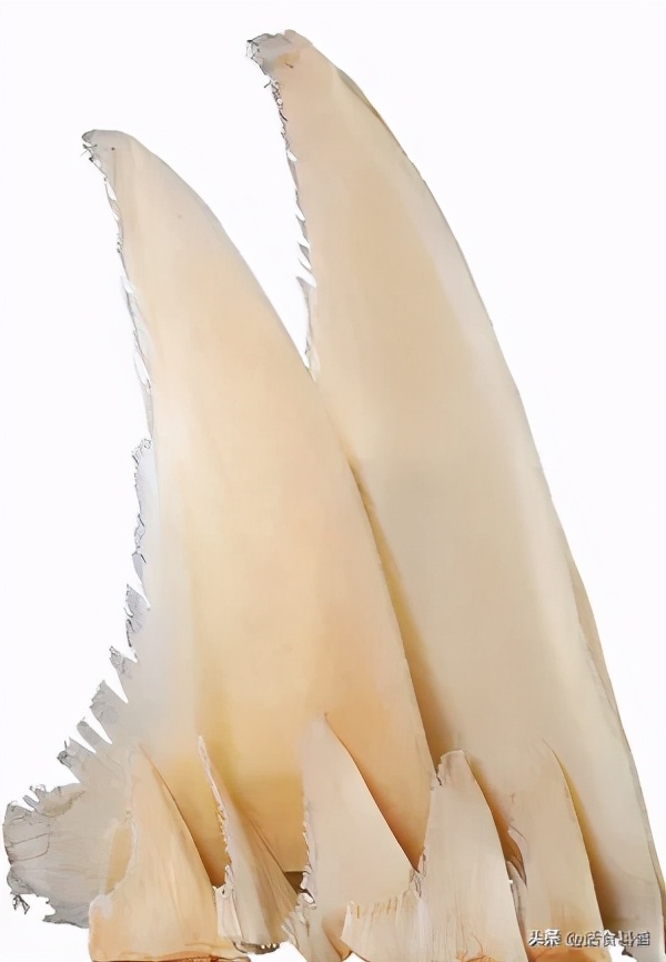 鱼翅贵的多少钱一斤,最高级的鱼翅