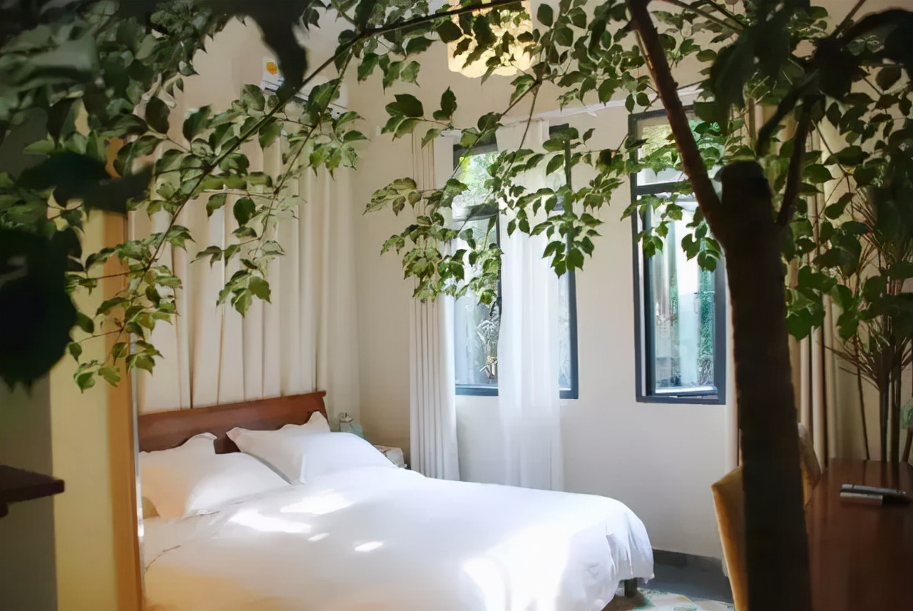 有个院子让生活过成诗,租个院子过田园生活