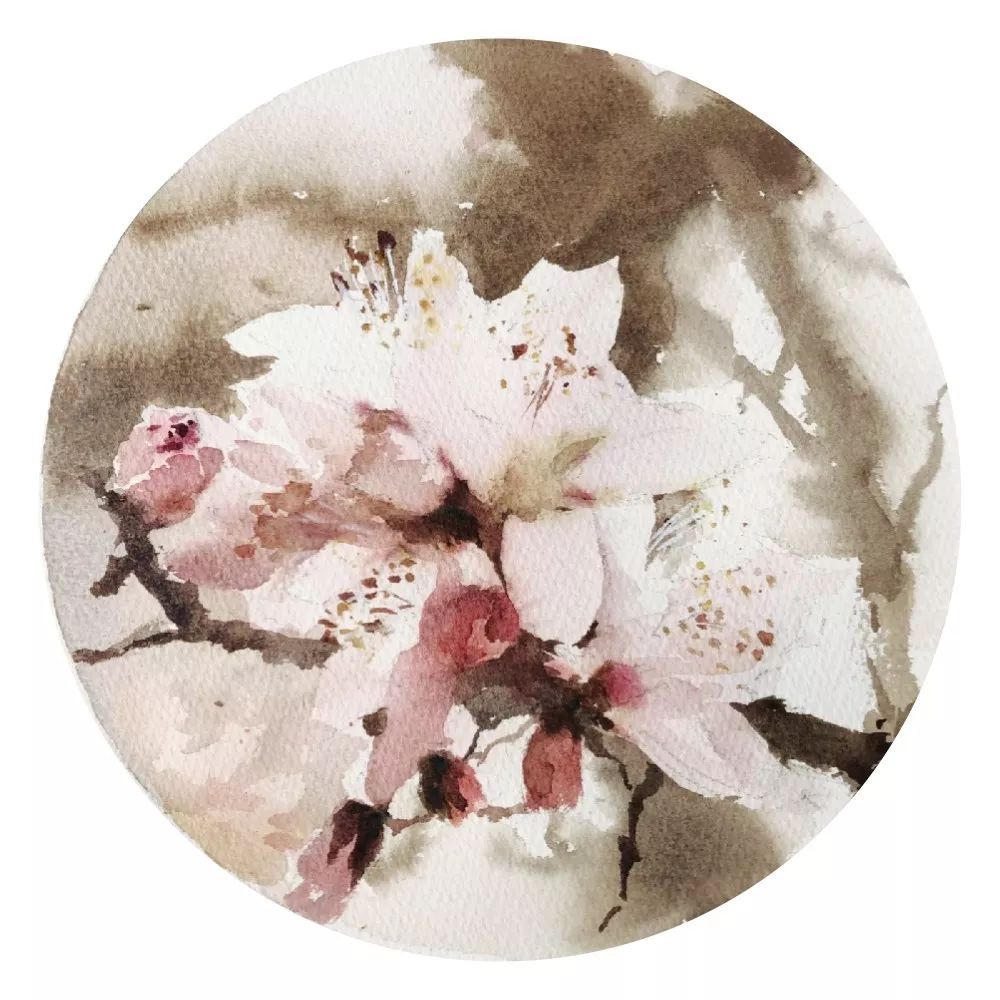 画水彩的正确方法和技巧,如何画好水彩静物