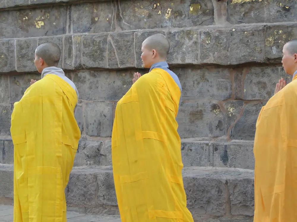 奥莱和奥莱,奥莱的魅力