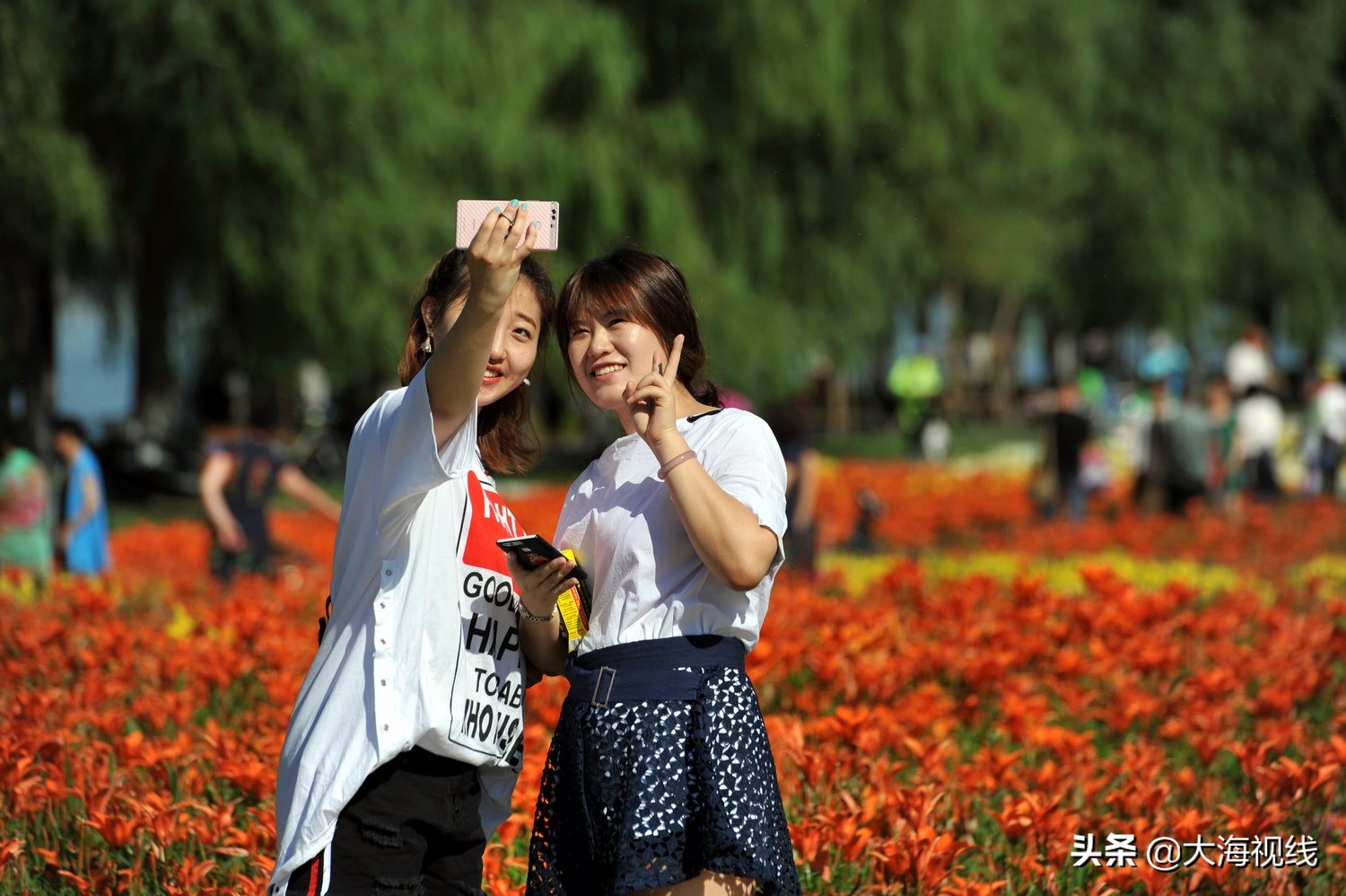 沈阳浑河一共有几座桥,沈阳浑河公园排名