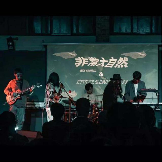 唱片展东莞,东莞唱片音乐市集