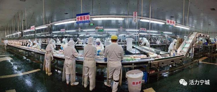 赤峰宁城疫情防控情况,赤峰宁城疫情防控