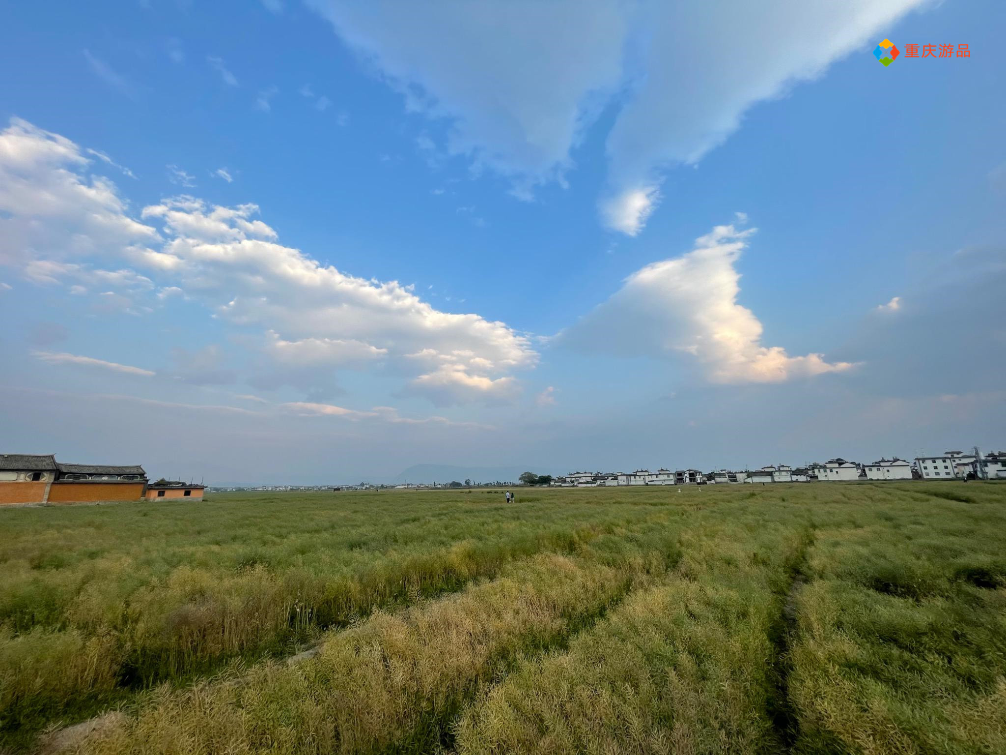 浜戝崡澶х悊鍋堕亣瓒呰窇,澶х悊鍋堕亣瓒呰窇